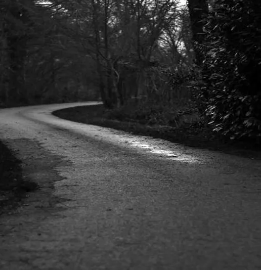 제이시스메디칼