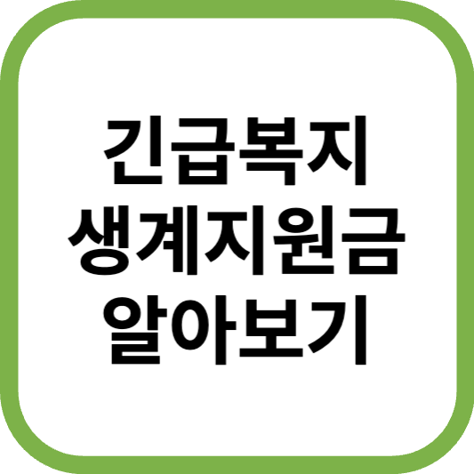 2024 긴급복지 생계지원금 대상자