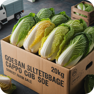  괴산 절임배추 20kg 직거래 가격 이미지