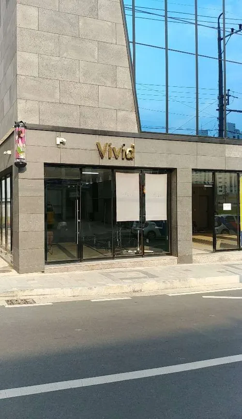 비비드