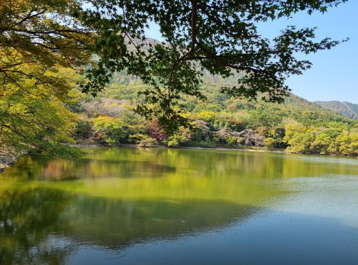 진해내수면환경생태공원5