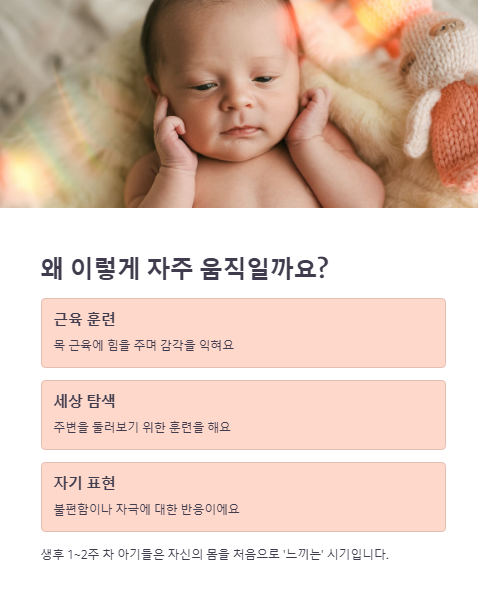 왜 이렇게 자주 움직일까요?