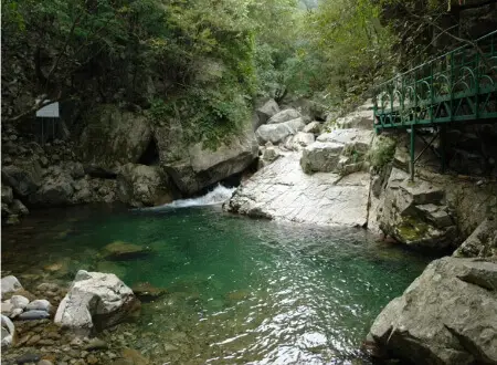 유명산 자연휴양림 계곡_3