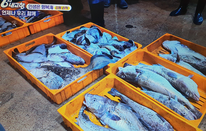 강원도 삼척 퉁수와 물가자미 택배 주문 방법