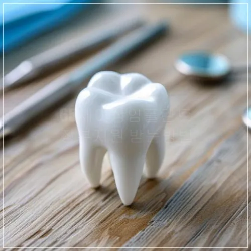 65세이상 임플란트 정부지원 신청절차10