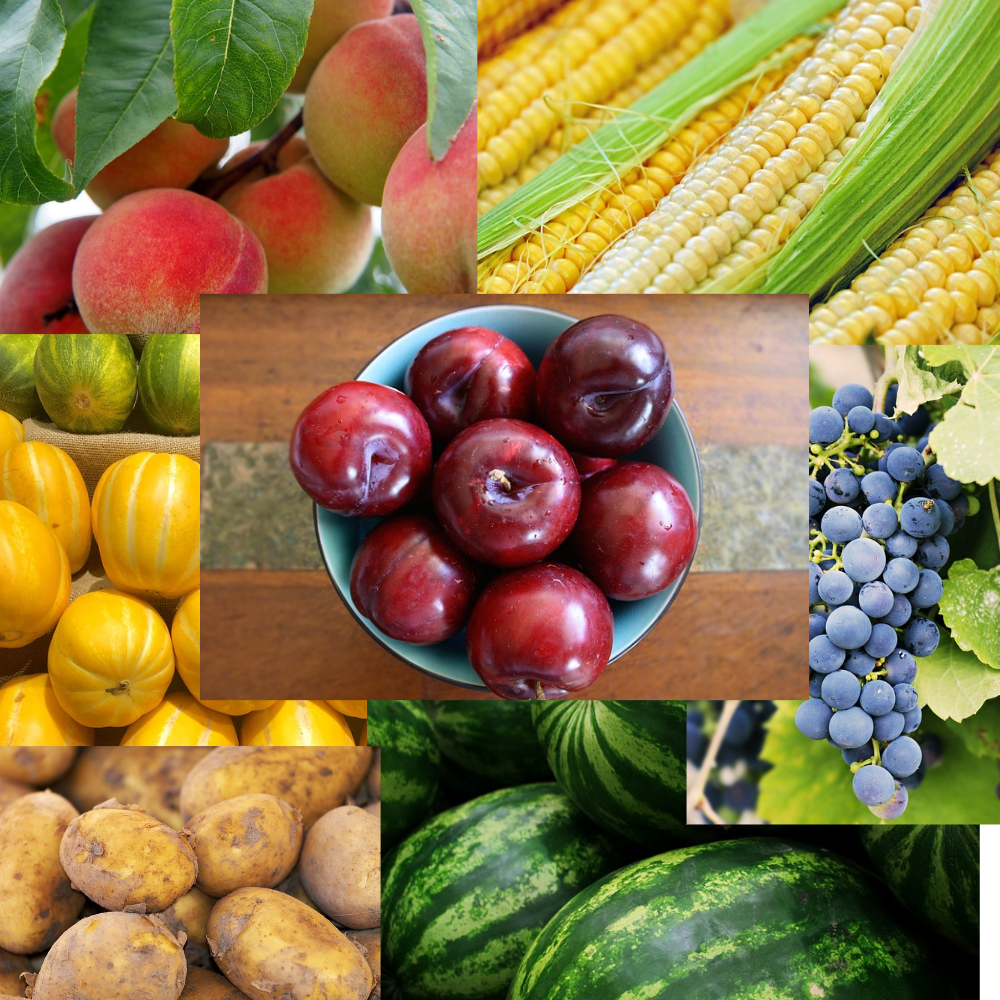 요즘 딱 먹어야 할 제철 음식 7가지