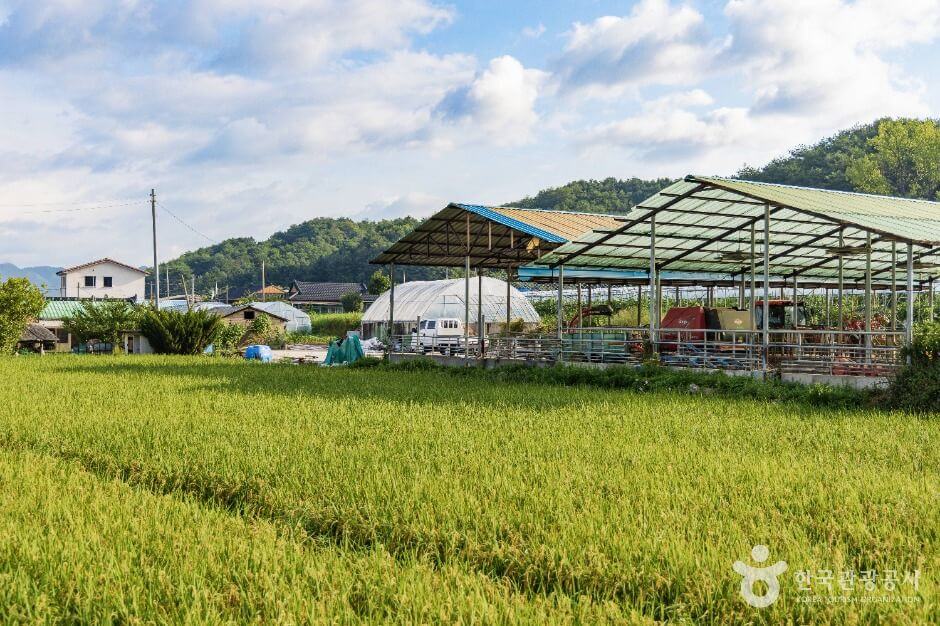 양구 가볼만한곳 베스트 10