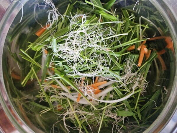 그릇에 담긴 새싹보리와 당근&amp;#44; 양파 채썰어 놓은것