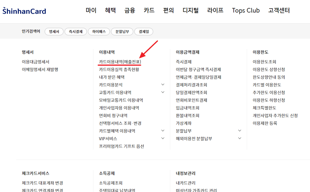 신한카드 홈페이지 카드 이용내역