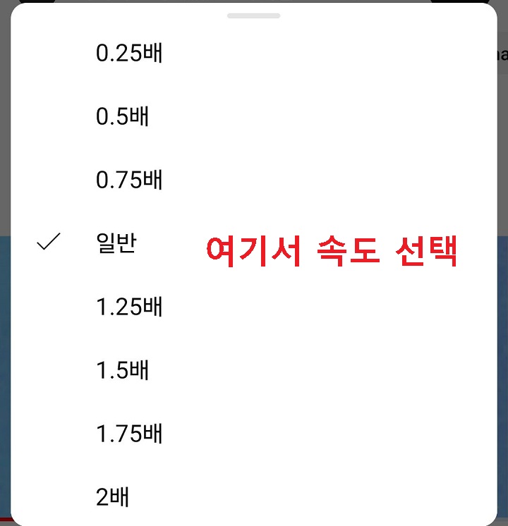 속도 선택 창 보임