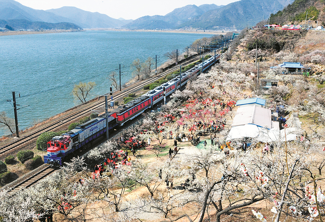 양산 가볼만한곳 - 순매원