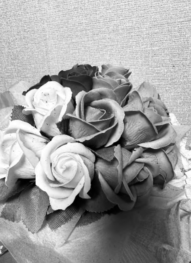 작업 전 흑백사진입니다.