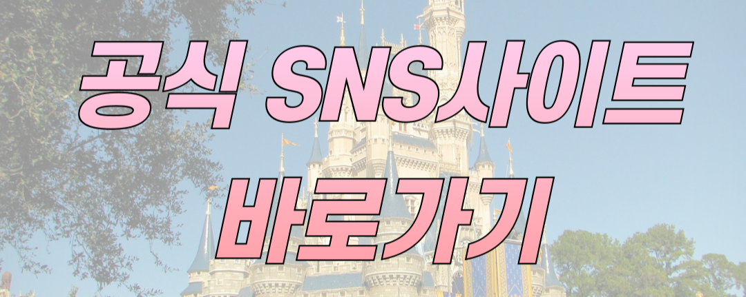 디즈니런 서울 2025 여의도 마라톤 개최 캐릭터 코스프레까지 참가접수는?