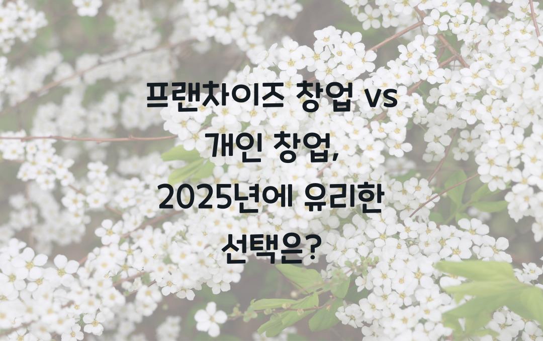 프랜차이즈 창업 vs 개인 창업, 어떤 것이 더 유리할까?