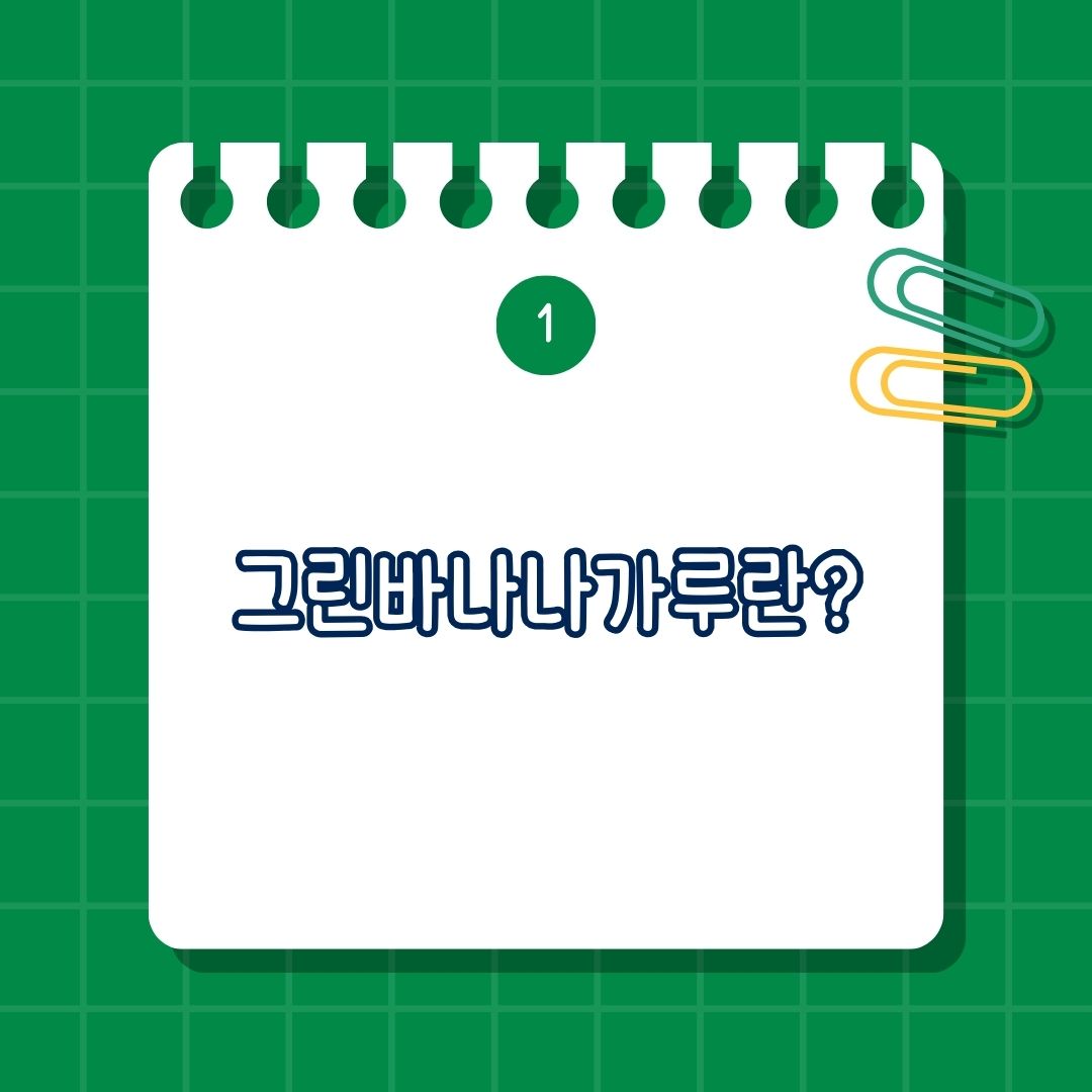 그린 바나나 가루, 저항성 전분, 식이섬유, 밀가루 대체