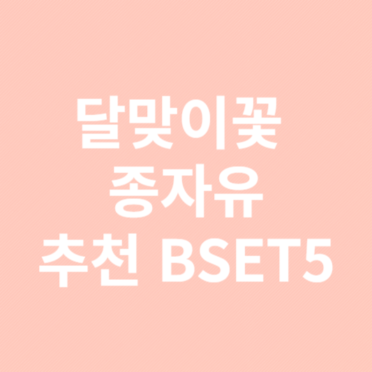 달맞이꽃 종자유 추천 BSET5
