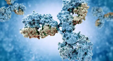 제약 연구원들이 반드시 알아야 할 ADC 개발 시 분석 기법