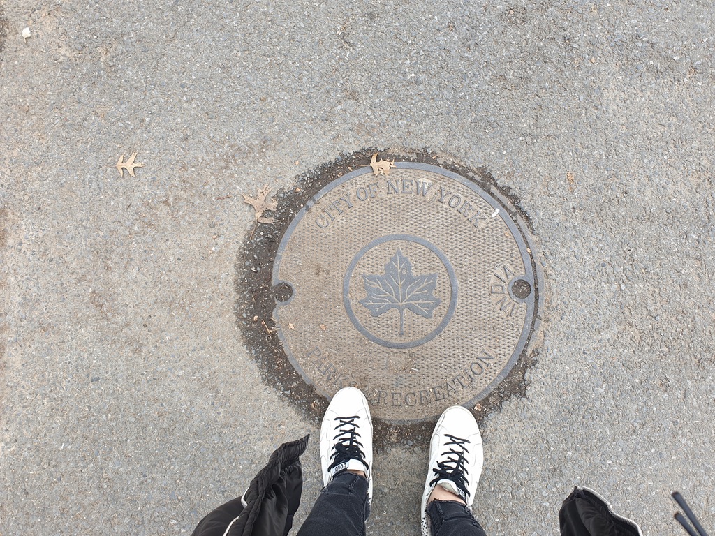 뉴욕 센트럴 파크