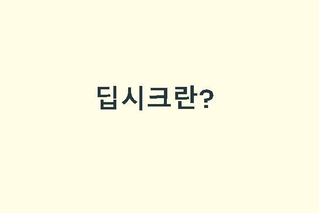 딥시크란? 뜻 알아보기