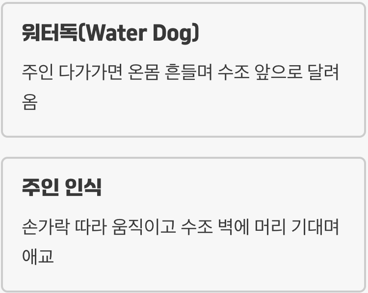 나만 졸졸 따라다니는 물속의 강아지