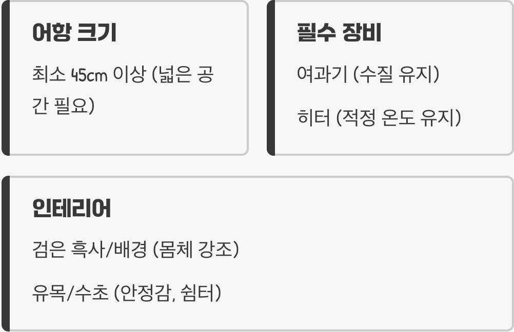 이 친구를 위한 아늑한 집 꾸미기