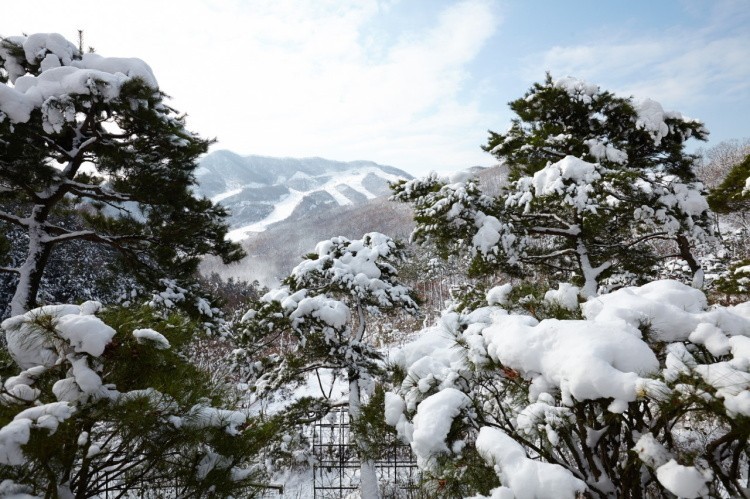 화담숲에 대해서 알려드릴게요
