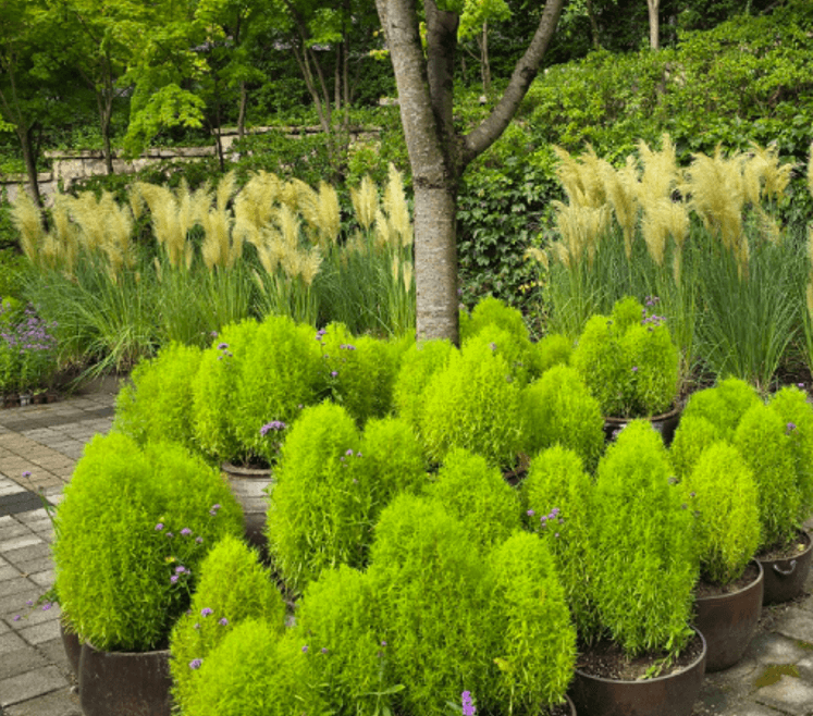 화담숲 예약 방법