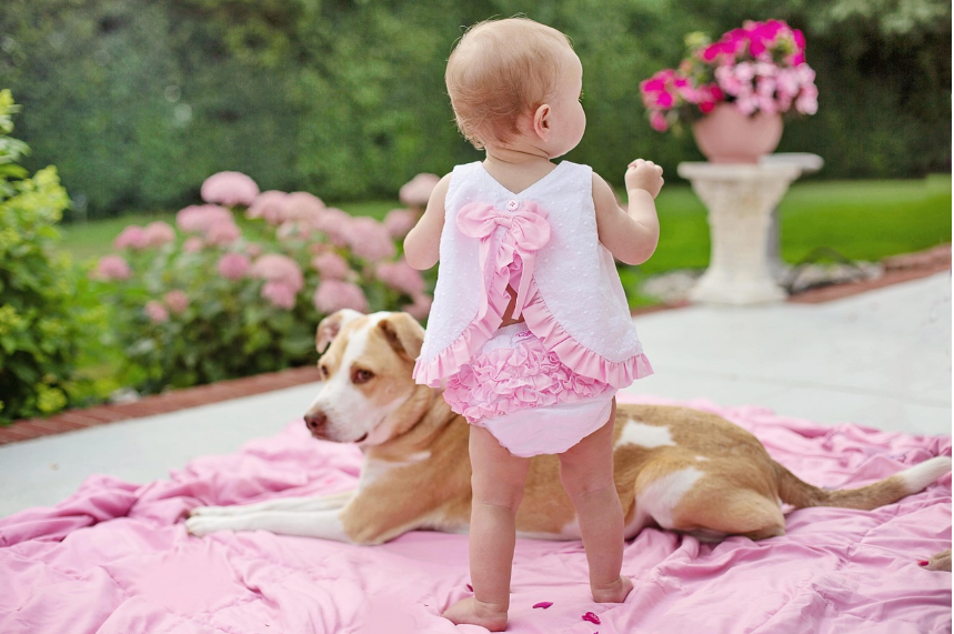 아이가 있는 가정에 강아지 관련 이미지