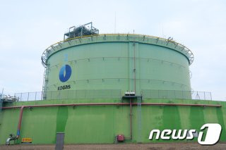 현장 수습과 조사 진행 중