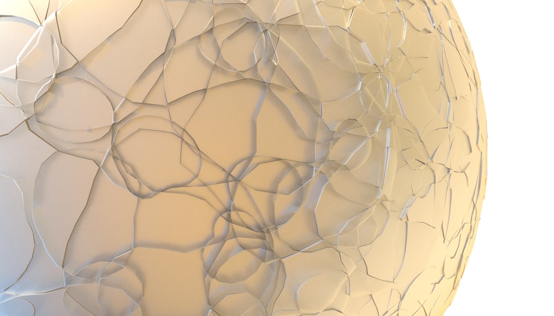 Fracture