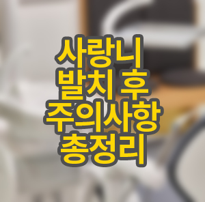 사랑니 발치 후 주의사항 총정리