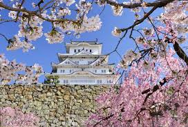 일본 벚꽃여행 명소 추천&amp;#44; 항공권 할인