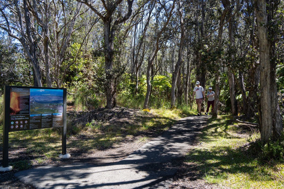 데바스테이션 트레일
