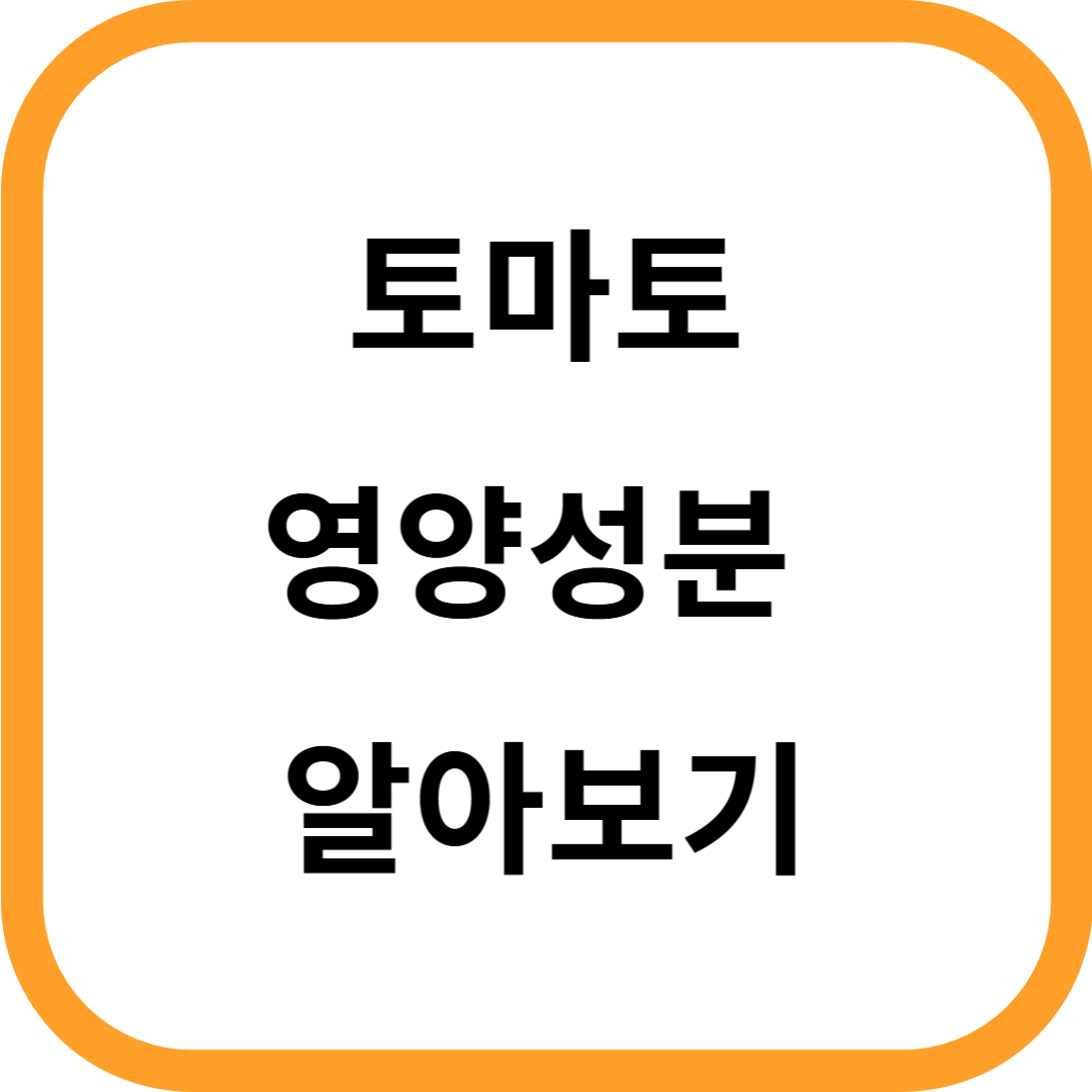 토마토 영양성분