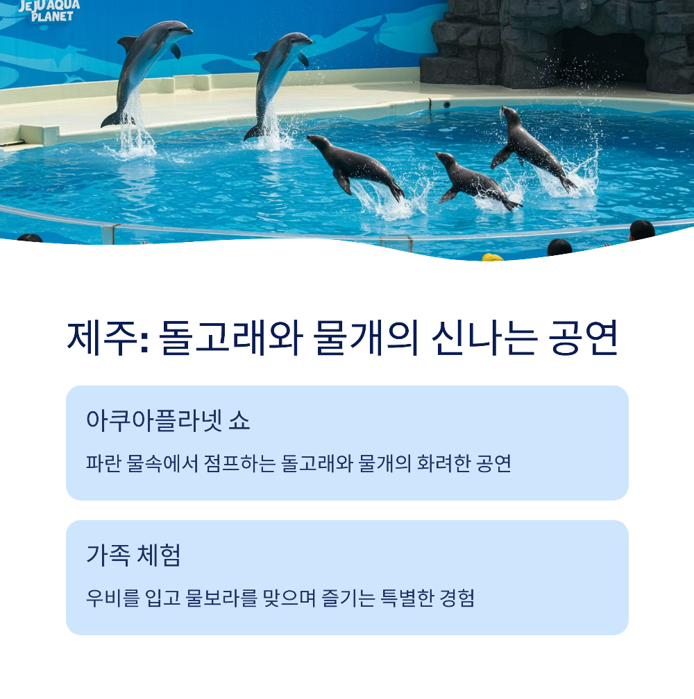 2025년 비 오는 날에도 즐길 수 있는 국내 실내 여행지 7선