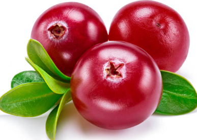 요실금에 좋은 크랜베리