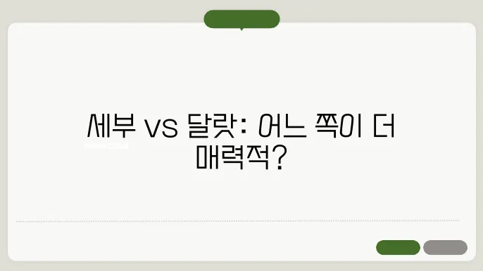 해외 패키지 여행 추천, 세부와 달랏 비교