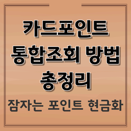 카드포인트 통합조회 방법 총정리｜잠자는 카드 포인트 현금으로 찾는 법
