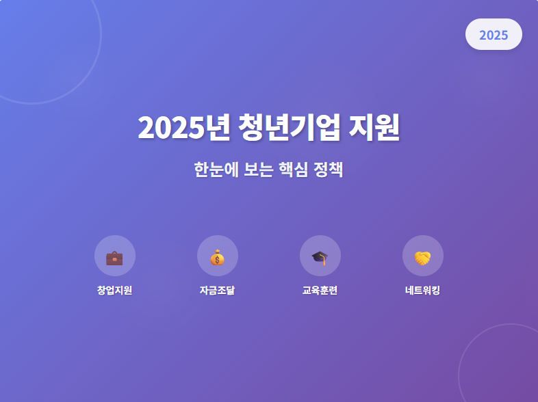 2025년 청년기업 지원 정책