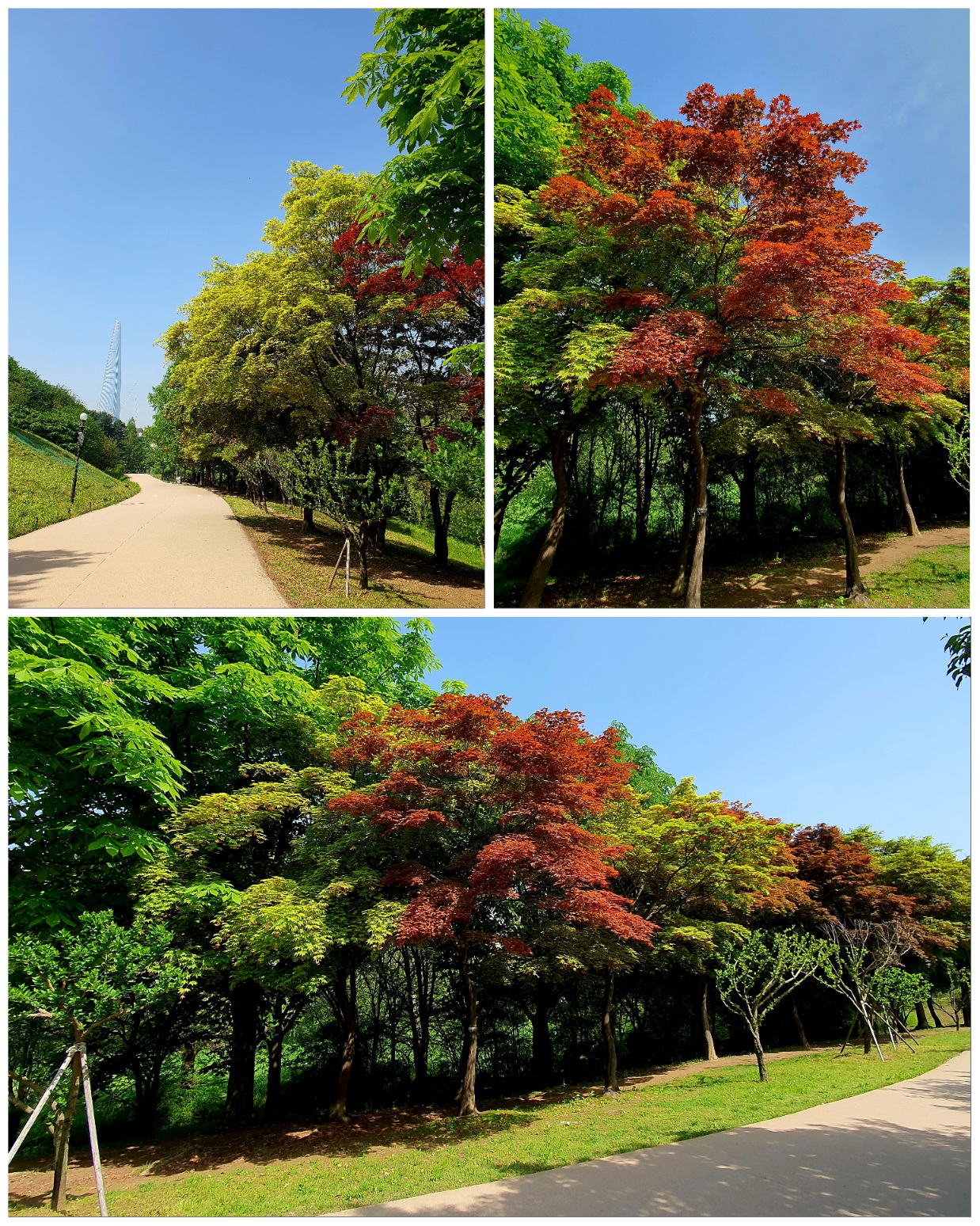 공원의-공기는-상쾌합니다.