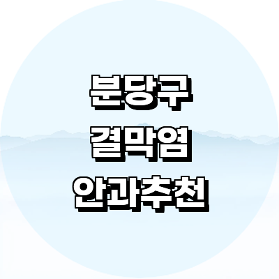 성남 분당구 안과