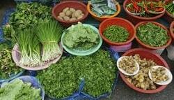 농할상품권 사용처 구매방법 할인 2024