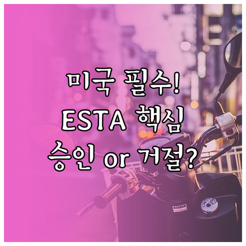 ESTA 승인부터 거절까지, 미국 여..