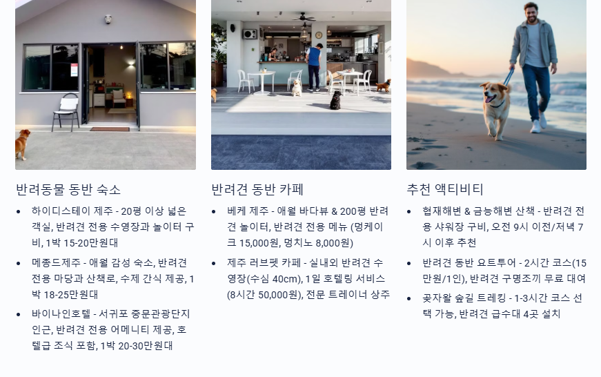 추천 액티비티