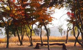 10월 서울근교 가볼만한 곳 베스트