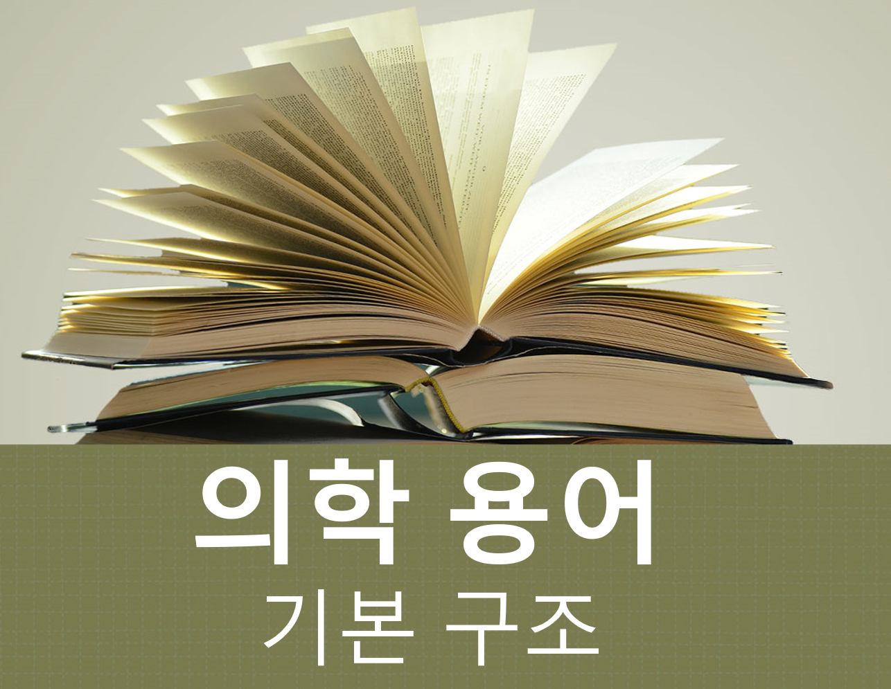 의학용어 - 기본 구조