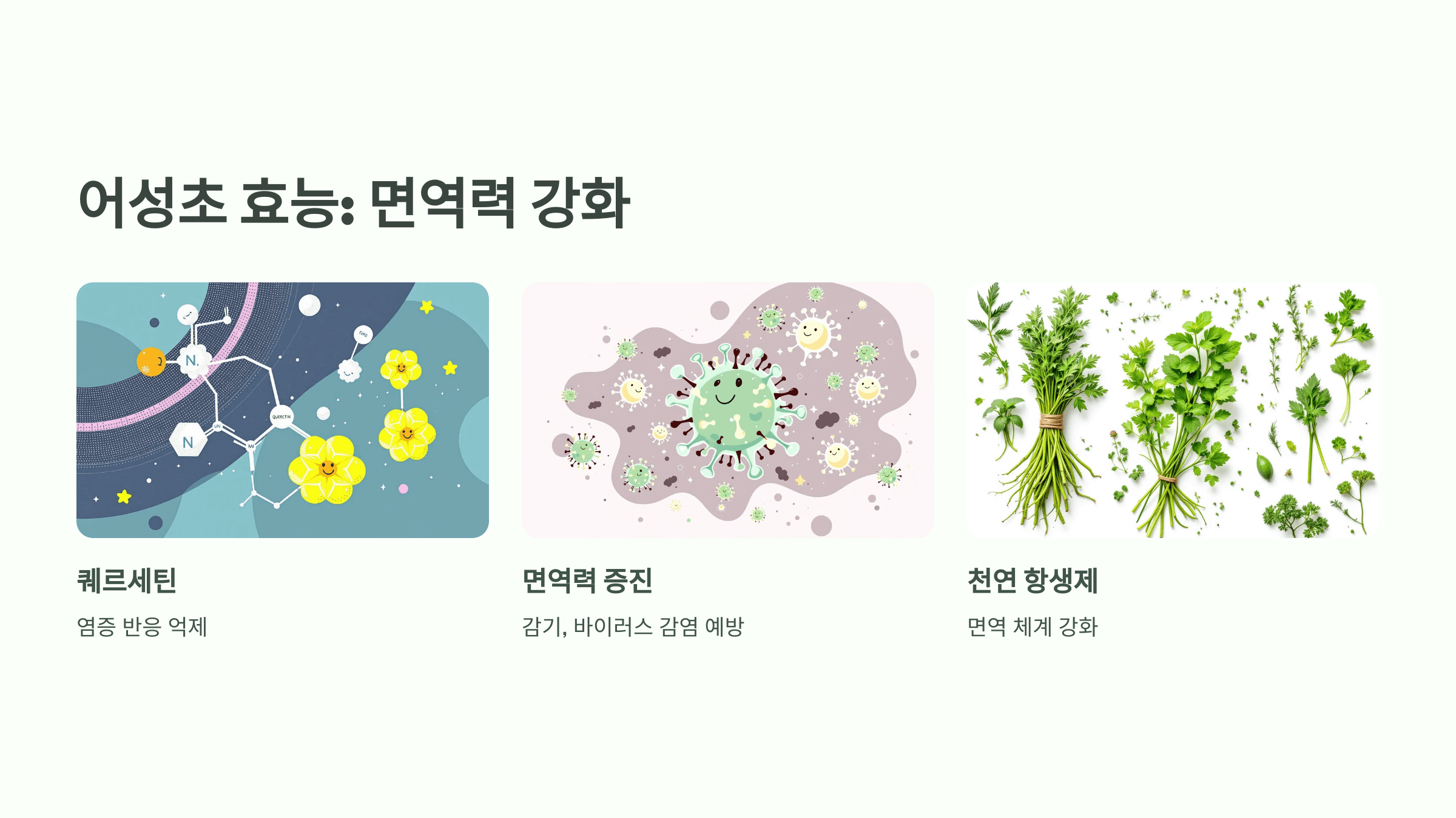 어성초 사진입니다.