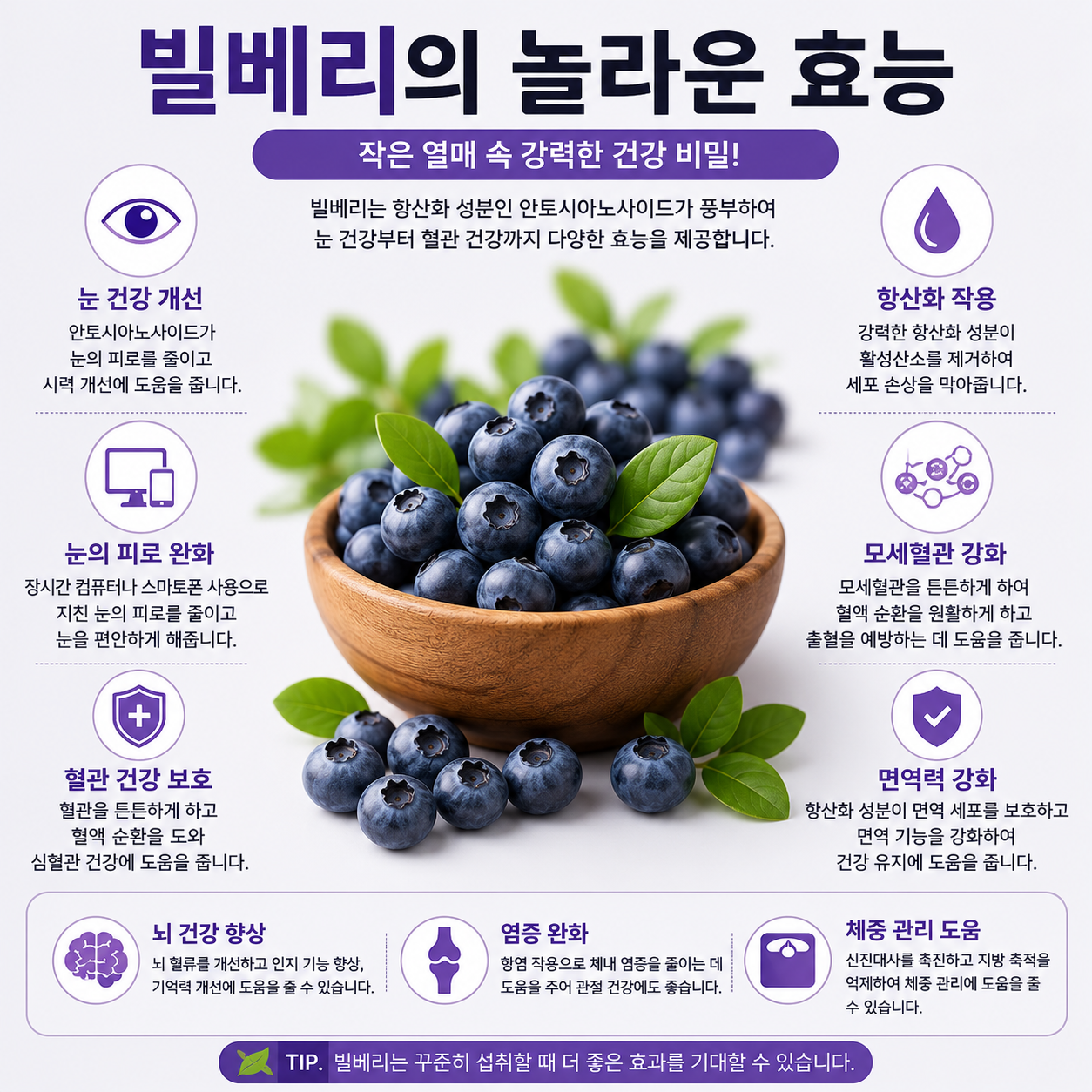 빌베리 효능