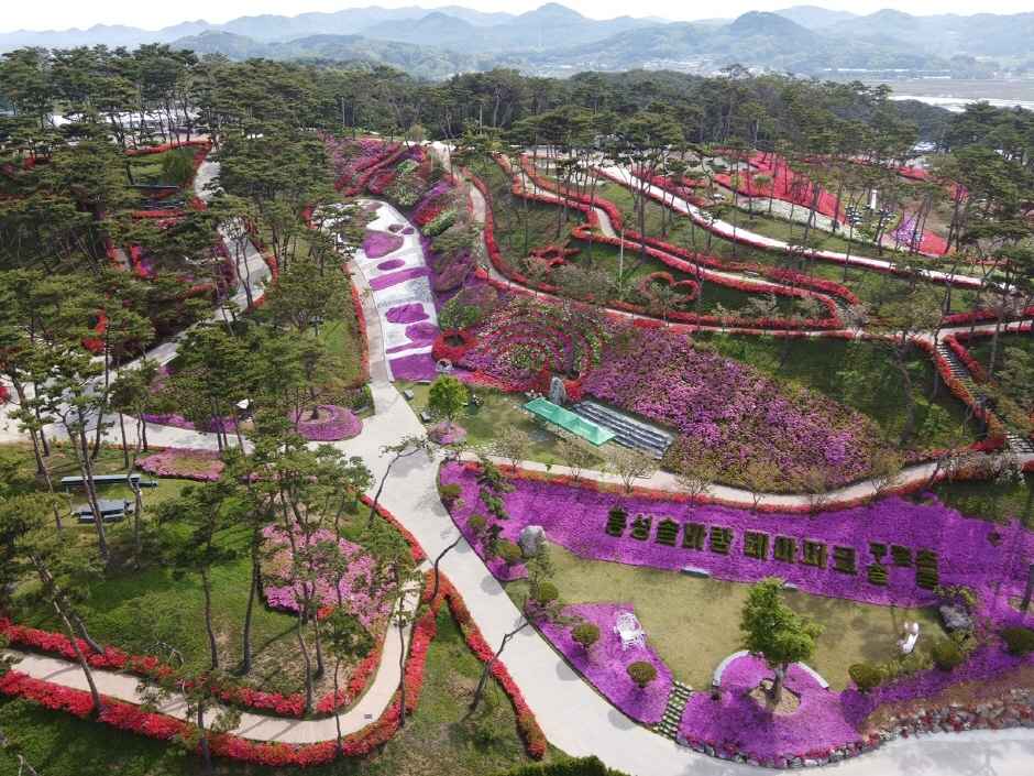 홍성 솔바람테마파크