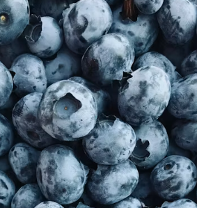 녹내장에 좋은 음식 영양제 식단